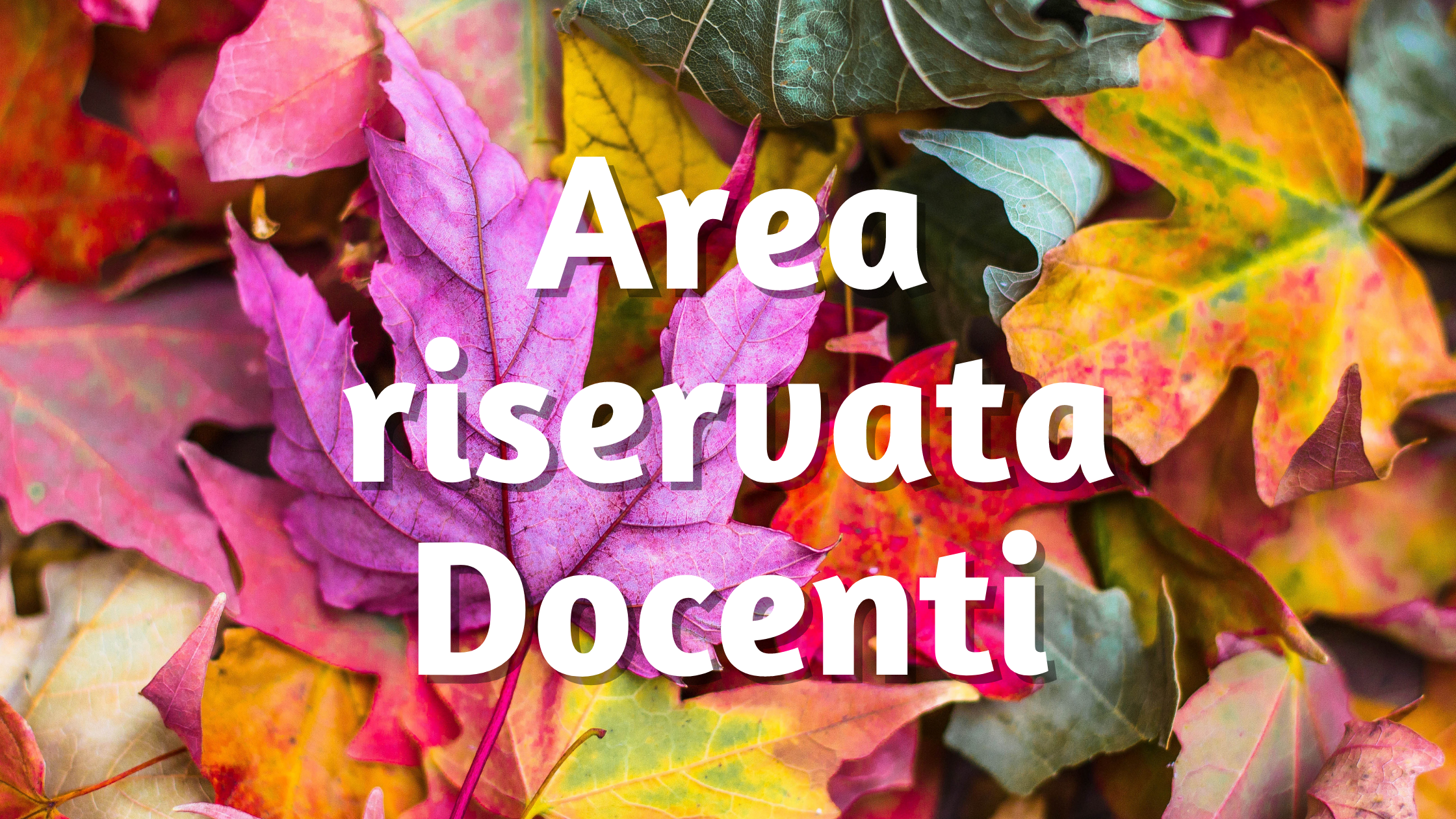 Area riservata Docenti